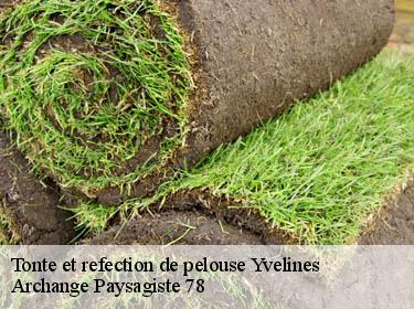 Tonte et refection de pelouse 78 Yvelines  Archange Paysagiste 78