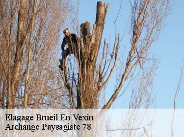 Elagage  brueil-en-vexin-78440 Archange Paysagiste 78