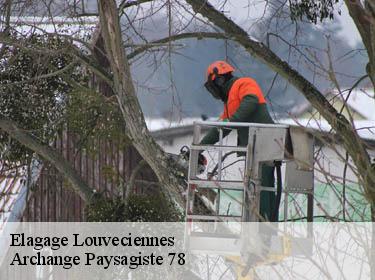 Elagage  louveciennes-78430 Archange Paysagiste 78