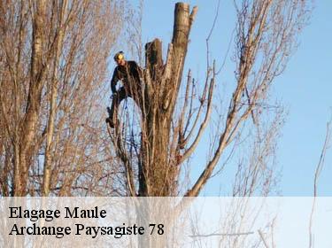 Elagage  maule-78580 Archange Paysagiste 78