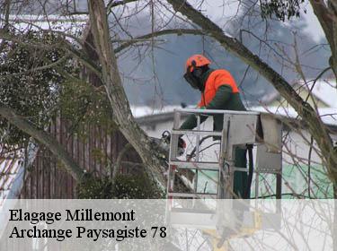 Elagage  millemont-78940 Archange Paysagiste 78