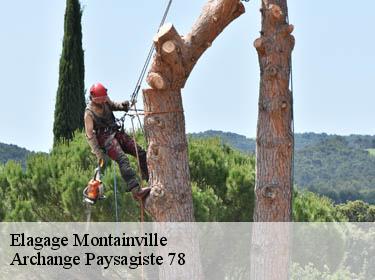 Elagage  montainville-78124 Archange Paysagiste 78