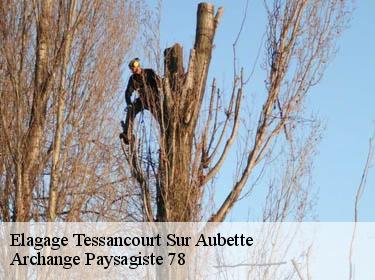 Elagage  tessancourt-sur-aubette-78250 Archange Paysagiste 78