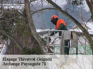 Elagage  thiverval-grignon-78850 Archange Paysagiste 78