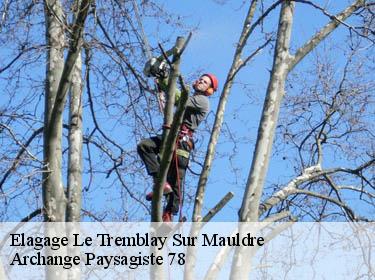 Elagage  le-tremblay-sur-mauldre-78490 Archange Paysagiste 78
