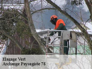 Elagage  vert-78930 Archange Paysagiste 78