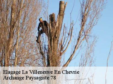 Elagage  la-villeneuve-en-chevrie-78270 Archange Paysagiste 78