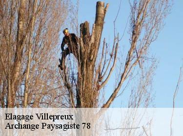Elagage  villepreux-78450 Archange Paysagiste 78