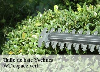 Taille de haie 78 Yvelines  WT espace vert 