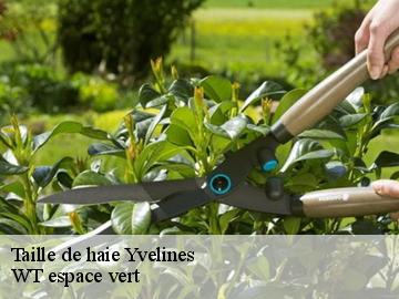 Taille de haie 78 Yvelines  WT espace vert 