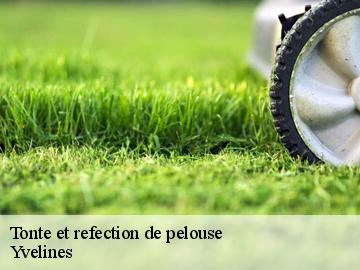 Tonte et refection de pelouse Yvelines 