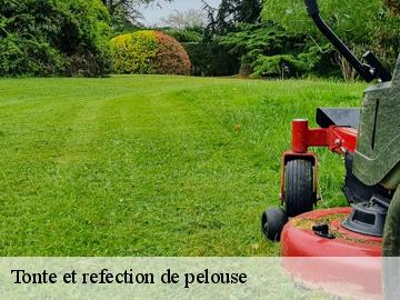 Tonte et refection de pelouse 78 Yvelines  WT espace vert 