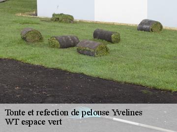 Tonte et refection de pelouse 78 Yvelines  WT espace vert 