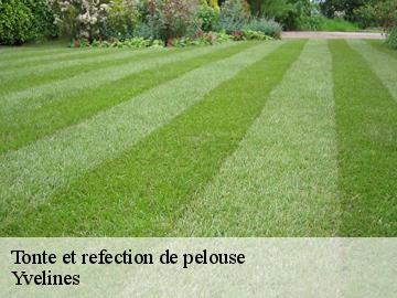 Tonte et refection de pelouse 78 Yvelines  WT espace vert 