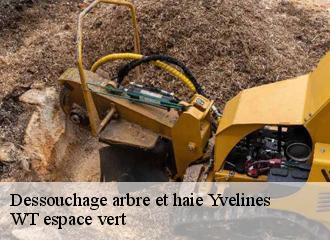 Dessouchage arbre et haie 78 Yvelines  WT espace vert 