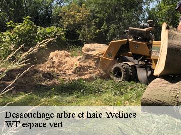 Dessouchage arbre et haie 78 Yvelines  WT espace vert 