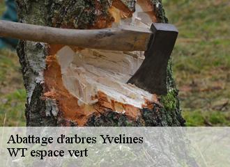 Abattage d'arbres 78 Yvelines  WT espace vert 