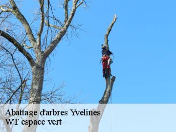 Abattage d'arbres 78 Yvelines  WT espace vert 