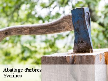 Abattage d'arbres Yvelines 