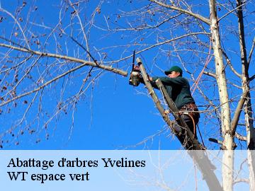 Abattage d'arbres 78 Yvelines  WT espace vert 