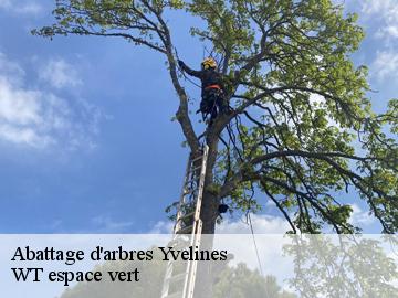 Abattage d'arbres 78 Yvelines  WT espace vert 