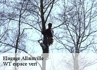 Elagage  allainville-78660 WT espace vert 