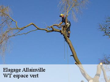 Elagage  allainville-78660 WT espace vert 