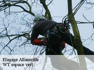 Elagage  allainville-78660 WT espace vert 