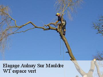 Elagage  aulnay-sur-mauldre-78126 WT espace vert 