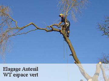 Elagage  auteuil-78770 WT espace vert 