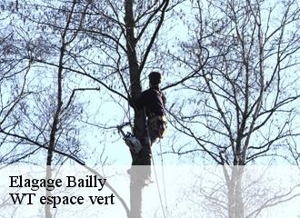 Elagage  bailly-78870 WT espace vert 