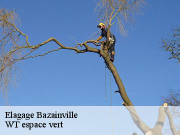 Elagage  bazainville-78550 WT espace vert 