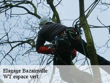 Elagage  bazainville-78550 WT espace vert 