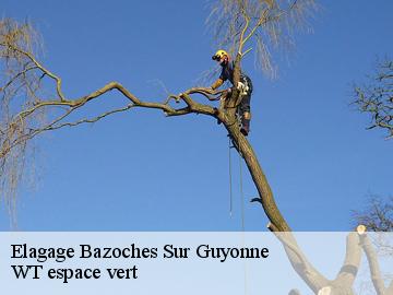 Elagage  bazoches-sur-guyonne-78490 WT espace vert 