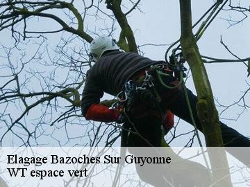 Elagage  bazoches-sur-guyonne-78490 WT espace vert 