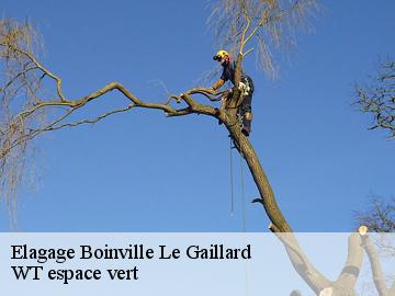 Elagage  boinville-le-gaillard-78660 WT espace vert 