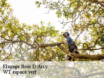 Elagage  bois-d-arcy-78390 WT espace vert 