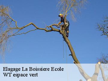 Elagage  la-boissiere-ecole-78125 WT espace vert 