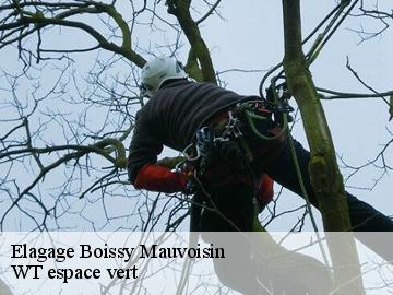 Elagage  boissy-mauvoisin-78200 WT espace vert 