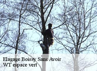 Elagage  boissy-sans-avoir-78490 WT espace vert 