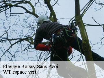 Elagage  boissy-sans-avoir-78490 WT espace vert 