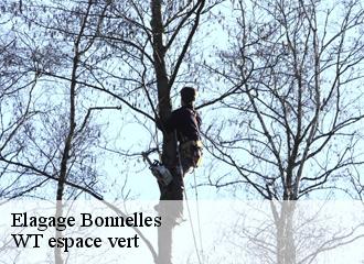 Elagage  bonnelles-78830 WT espace vert 