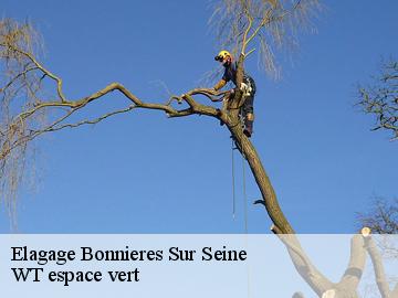 Elagage  bonnieres-sur-seine-78270 WT espace vert 