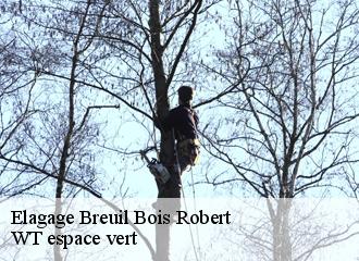 Elagage  breuil-bois-robert-78930 WT espace vert 