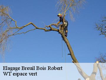 Elagage  breuil-bois-robert-78930 WT espace vert 