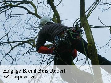 Elagage  breuil-bois-robert-78930 WT espace vert 