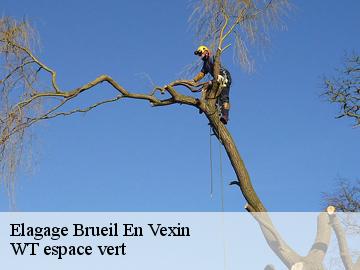 Elagage  brueil-en-vexin-78440 WT espace vert 