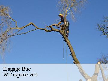 Elagage  buc-78530 WT espace vert 