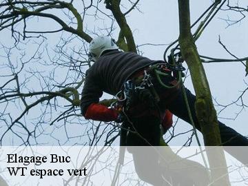 Elagage  buc-78530 WT espace vert 