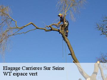 Elagage  carrieres-sur-seine-78420 WT espace vert 